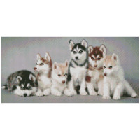 Алмазная мозаика Маленькие хаски 50х25 см BA-0004