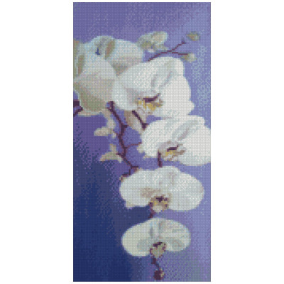 Алмазная мозаика Цвет орхидеи 50х25 см BA-0013