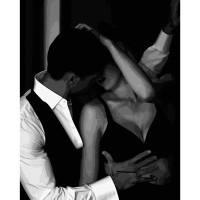 Картина за номерами Strateg Вогонь пристрасті без підрамника розміром 40х50 см (BR013)