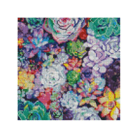 Алмазная мозаика Разноцветная эхеверия 30х30 см CA-0012