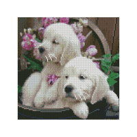 Алмазная мозаика Белые щенки 30х30 см CA-0020
