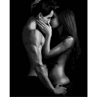 Картина за номерами Strateg ПРЕМІУМ Потаємна ніжність розміром 40х50 см (DY012)