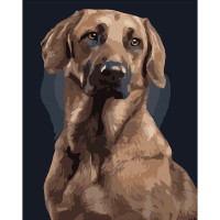 Картина за номерами Strateg ПРЕМІУМ Вірний пес розміром 40х50 см (DY056)