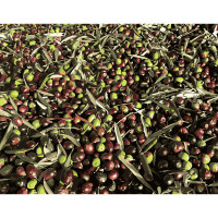 Картина по номерами Strateg ПРЕМИУМ Сочный кизил размером 40х50 см (DY123)