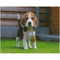 Алмазна мозаїка Маленький Бігль 40х50 см FA0011