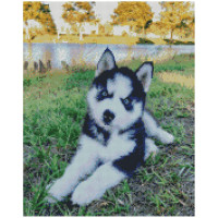 Алмазная мозаика Маленький хаски 40х50 см FA0014