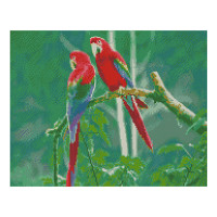 Алмазна мозаїка Папуги ара 40х50 см FA10008