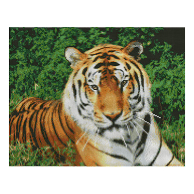 Алмазная мозаика Взгляд тигра 40х50 см FA10046