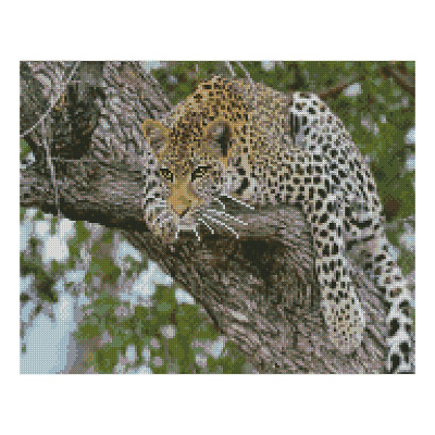 Алмазна мозаїка Леопард на дереві 40х50 см FA10050