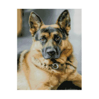 Алмазна мозаїка Кращий охоронець 40х50 см FA13072