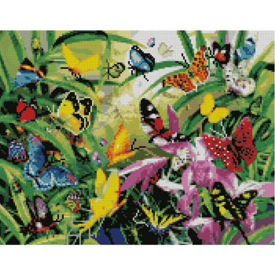 Алмазна мозаїка Метелики на літній галявині 40х50 см FA40011