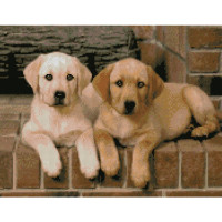Алмазная мозаика Щенки породы лабрадор 40х50 см FA40157