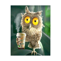 Алмазна мозаїка Бадьорий ранок 40х50 см FA40378