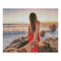 Алмазна мозаїка Follow me 40х50 см FA40743