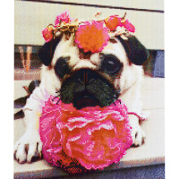 Алмазная мозаика Мопс с цветами 40х50 см FA40811