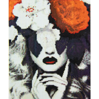 Алмазная мозаика Таинственная леди 40х50 см FA40812