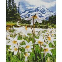 Алмазна картина Strateg ПРЕМІУМ Долина нарцисів розміром 40х50 см FA40874