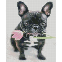 Алмазна картина Strateg ПРЕМІУМ Французький бульдог розміром 40х50 см FA40898