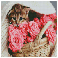 Алмазна мозаїка Котик в кошику 50х50 см GA0012