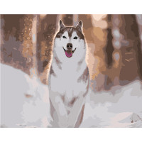 Картина за номерами Strateg ПРЕМІУМ Руда хаскі з лаком та з рівнем розміром 40х50 см (GS1576)