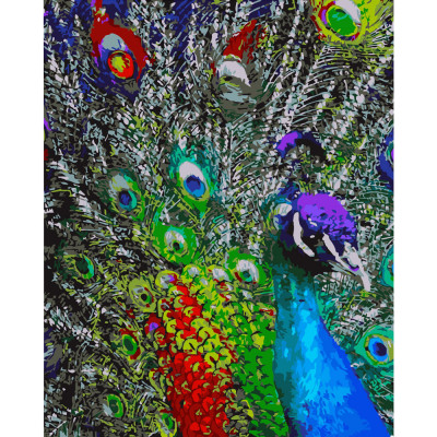 Картина по номерами Strateg ПРЕМИУМ Разноцветные перья павлина размером 40х50 см (GS171)