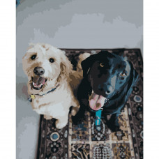 Картина по номерами Strateg ПРЕМИУМ Счастливые собачки размером 40х50 см (GS207)