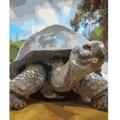 Картина по номерам Strateg ПРЕМИУМ Взрослая черепаха размером 40х50 см (GS582)