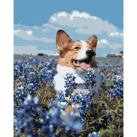 Картина за номерами Strateg ПРЕМІУМ Коргі в полі розміром 40х50 см (GS607)