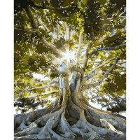 Картина за номерами Strateg ПРЕМІУМ Сплетіння дерев розміром 40х50 см (GS677)