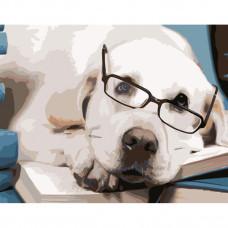 Картина за номерами Strateg ПРЕМІУМ Собака в окулярах розміром 40х50 см (HH089)