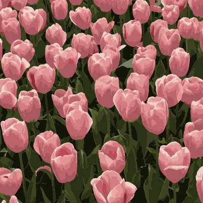 Картина по номерам Strateg Розовые тюльпаны размером 20х20 см (HH5113)