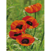Алмазна мозаїка Маки під сонцем 30х40 см HX165