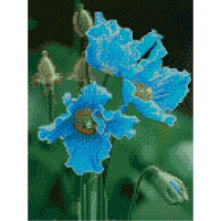 Алмазна мозаїка Гімалайські маки 30х40 см HX189