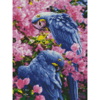 Алмазна мозаїка Папуги у квітах 30x40 см HX217