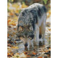 Алмазная мозаика Взгляд волка 30x40 см HX262