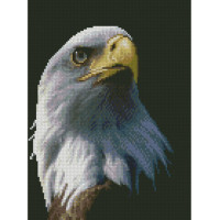 Алмазная мозаика Орел 30x40 см HX281