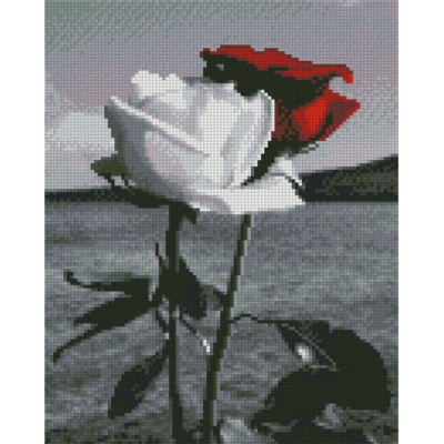 Алмазная мозаика «Красная и белая розы», 30х40 см