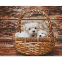 Алмазна мозаїка Strateg ПРЕМІУМ Песики в кошику розміром 30х40 см (KB015)