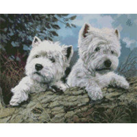 Алмазна картина Strateg ПРЕМІУМ Білі пухнастики розміром 40х50 см (L-282)