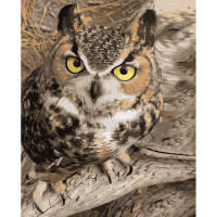 Картини за номерами Strateg ПРЕМІУМ Погляд мудрості з лаком розміром 40х50 см VA-3597