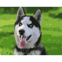 Картини за номерами Strateg ПРЕМІУМ Хаскі з лаком розміром 40х50 см VA-3632