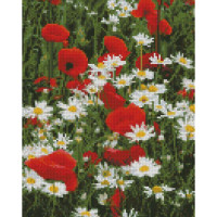 Алмазна мозаїка Strateg ПРЕМІУМ Маки та ромашки розміром 30х40 см HX423