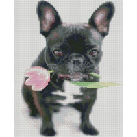 Алмазная мозаика Strateg ПРЕМИУМ Французский бульдог размером 30х40 см HX456