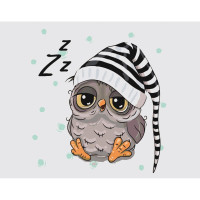 Картина по номерам Сонливая Сова 30х40 см SS-6414