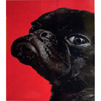 Картина по номерам Strateg ПРЕМИУМ Французский бульдог размером 30х40 см (SS-6492)