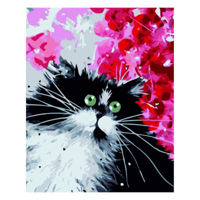 Картина по номерам Черно-белый котик 30х40 см SV-0006