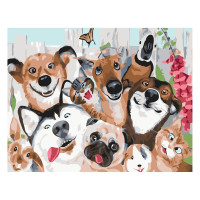 Картина по номерам Банда друзей 30х40 см SV-0062