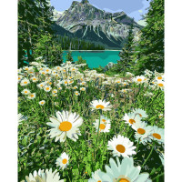 Картина за номерами Ромашки у горах 40х50 см SY6068