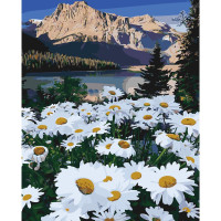 Картина за номерами Поляна серед гір 40х50 см SY6082