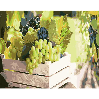 Картина за номерами Соковитий виноград 40х50 см SY6094